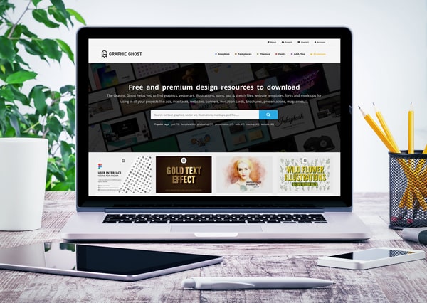 Palmy Studio - Graphic Ghost - web design website development ux design ui design branding